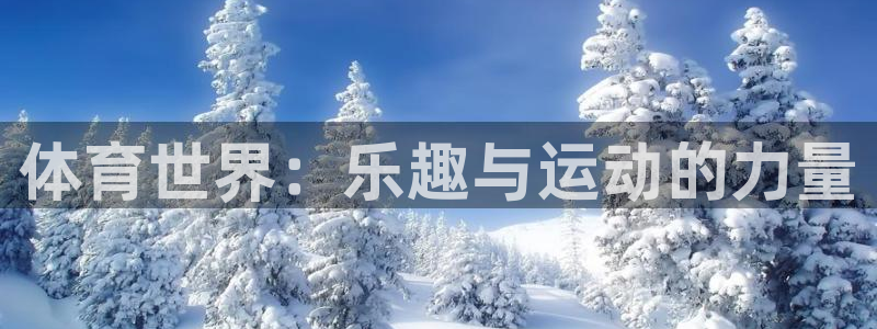 探球体育直播：体育世界：乐趣与运动的力量