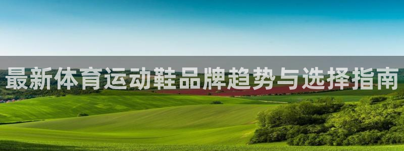 探球体育app官网下载：最新体育运动鞋品牌趋势与选择指南