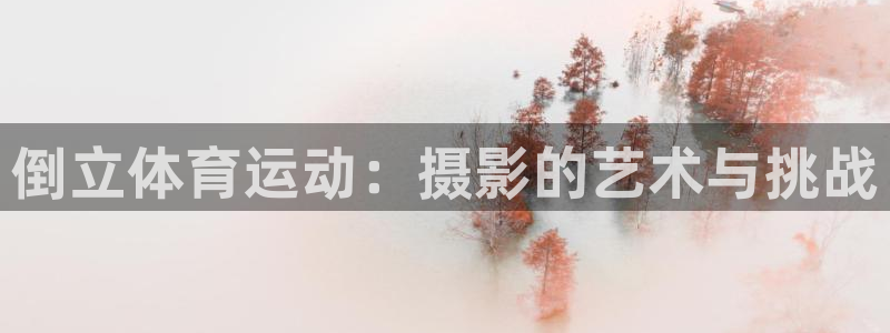 探球体育比分：倒立体育运动：摄影的艺术与挑战